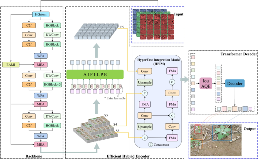 张志熠（第一作者）、郑智旗（通讯作者）《Computers and Electronics in Agriculture》中科院一区TOP期刊