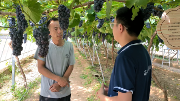 20fb4f6cc5f049ad909a6955afa99595.png 20fb4f6cc5f049ad909a6955afa99595.png